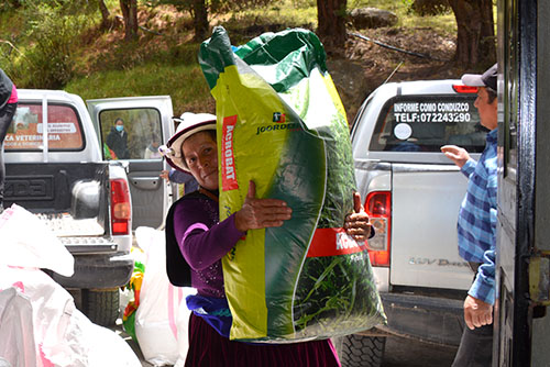 DESARROLLO PRODUCTIVO